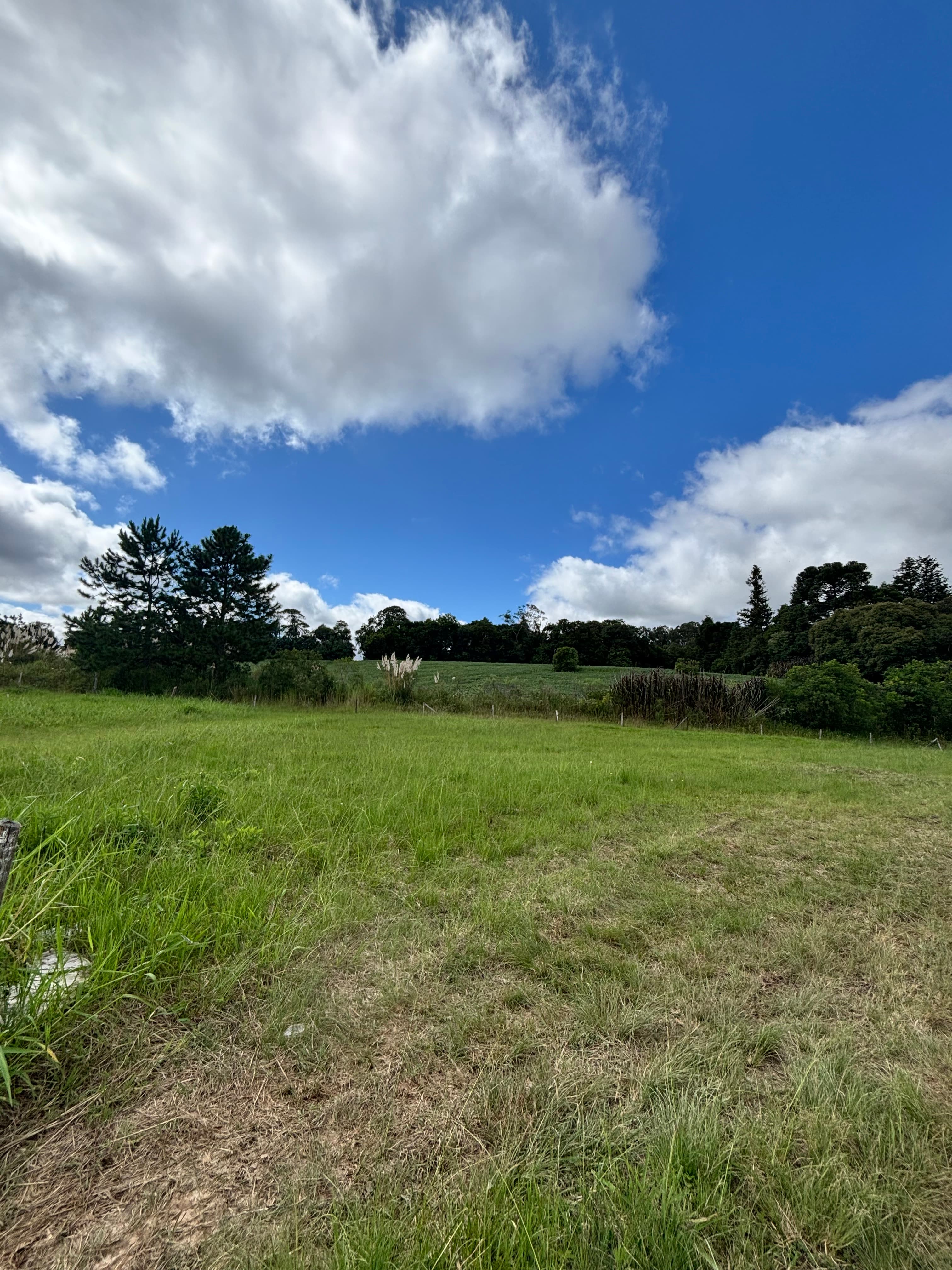 Terreno a venda em Curitiba - Foto 4