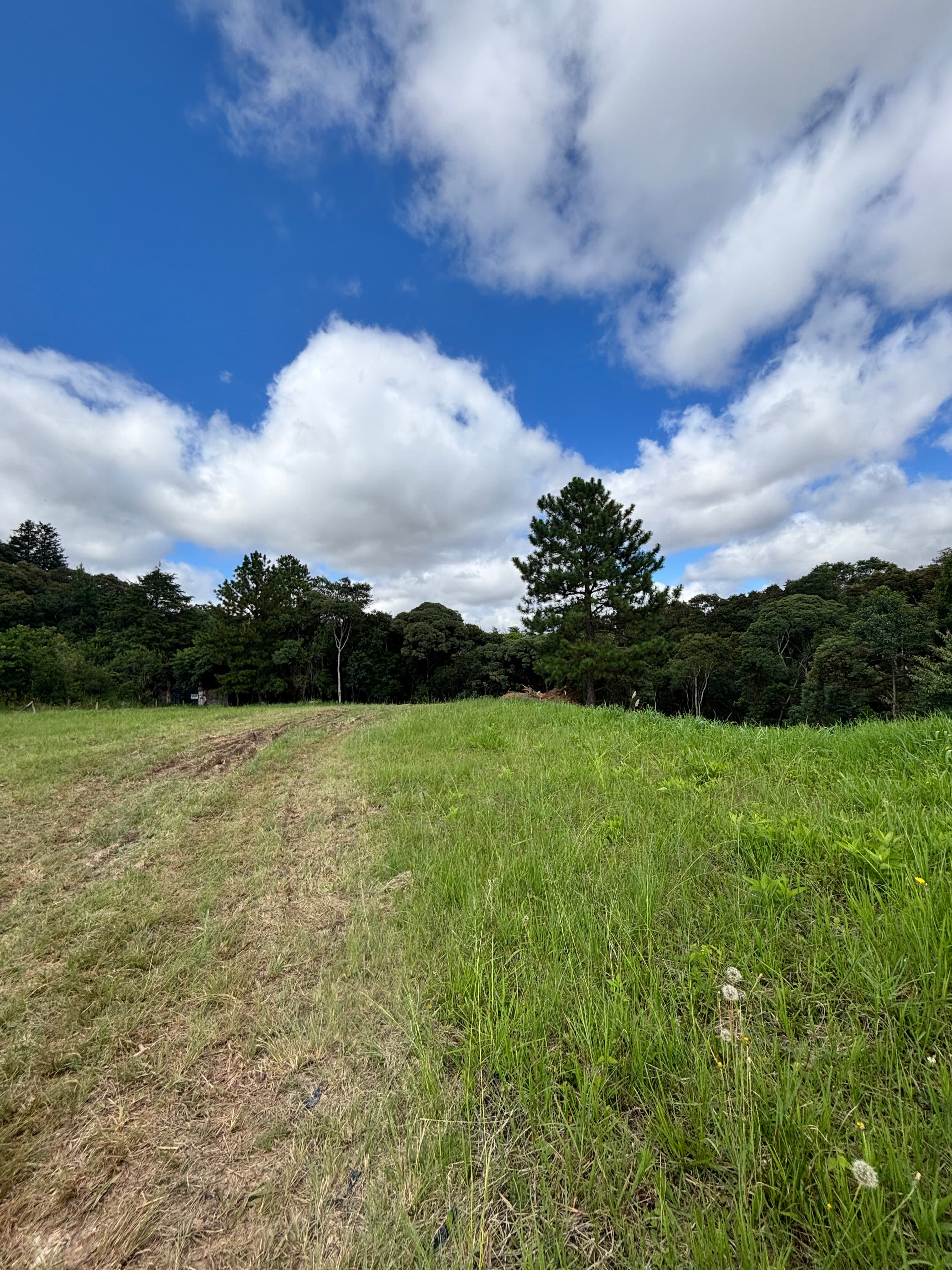 Terreno a venda em Curitiba - Foto 3