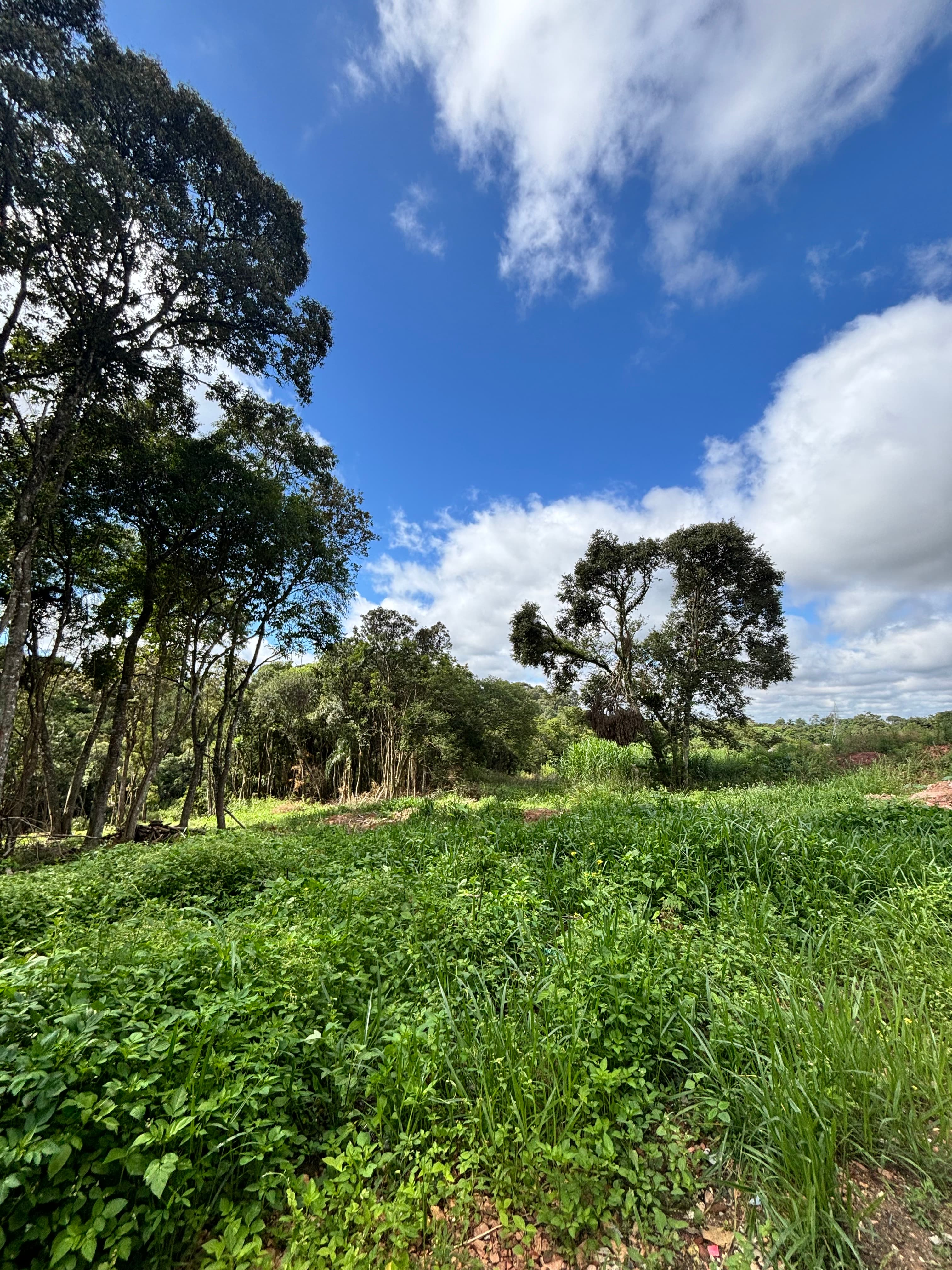 Terreno a venda em Curitiba - Foto 2