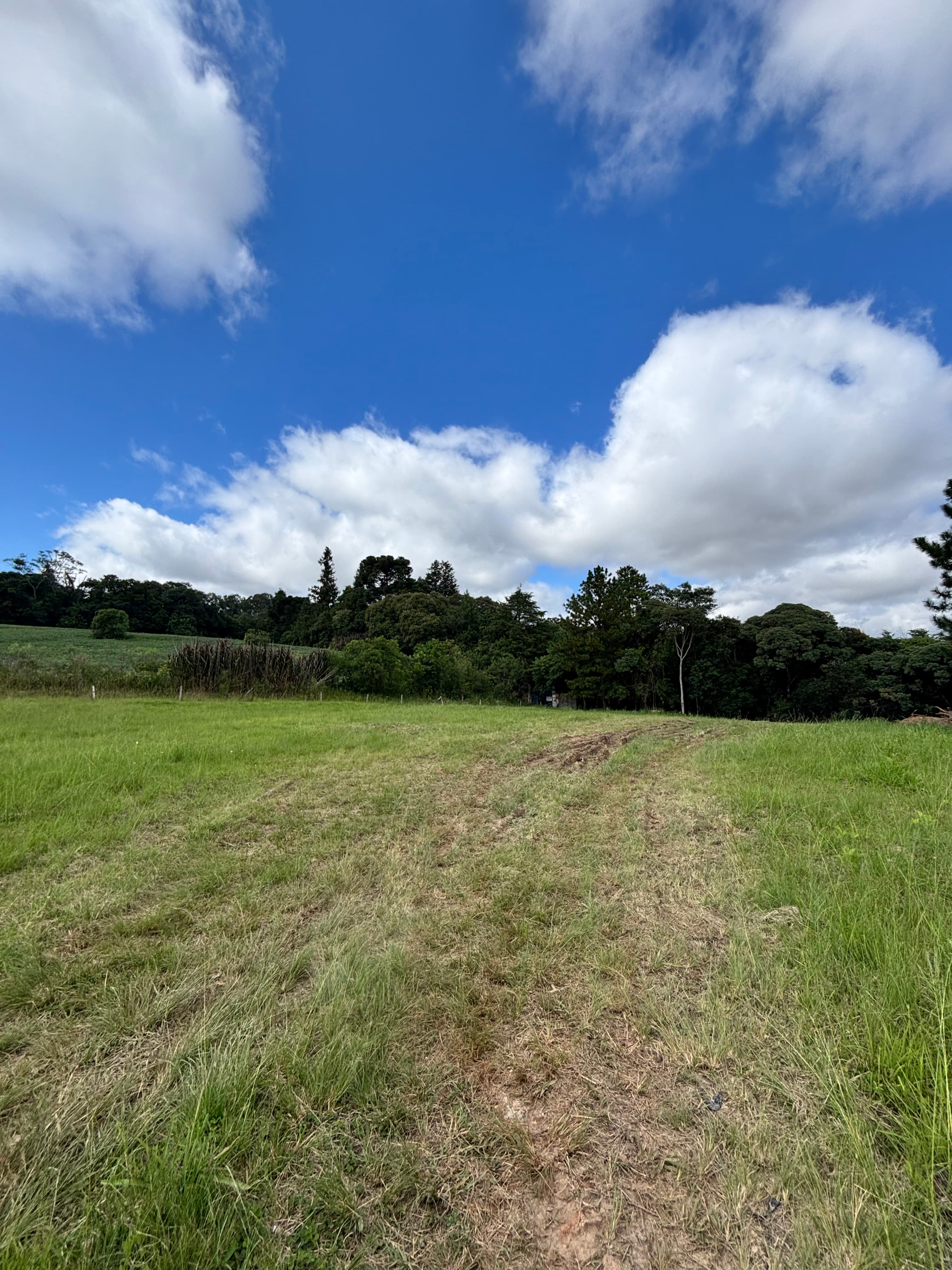 Terreno a venda em Curitiba