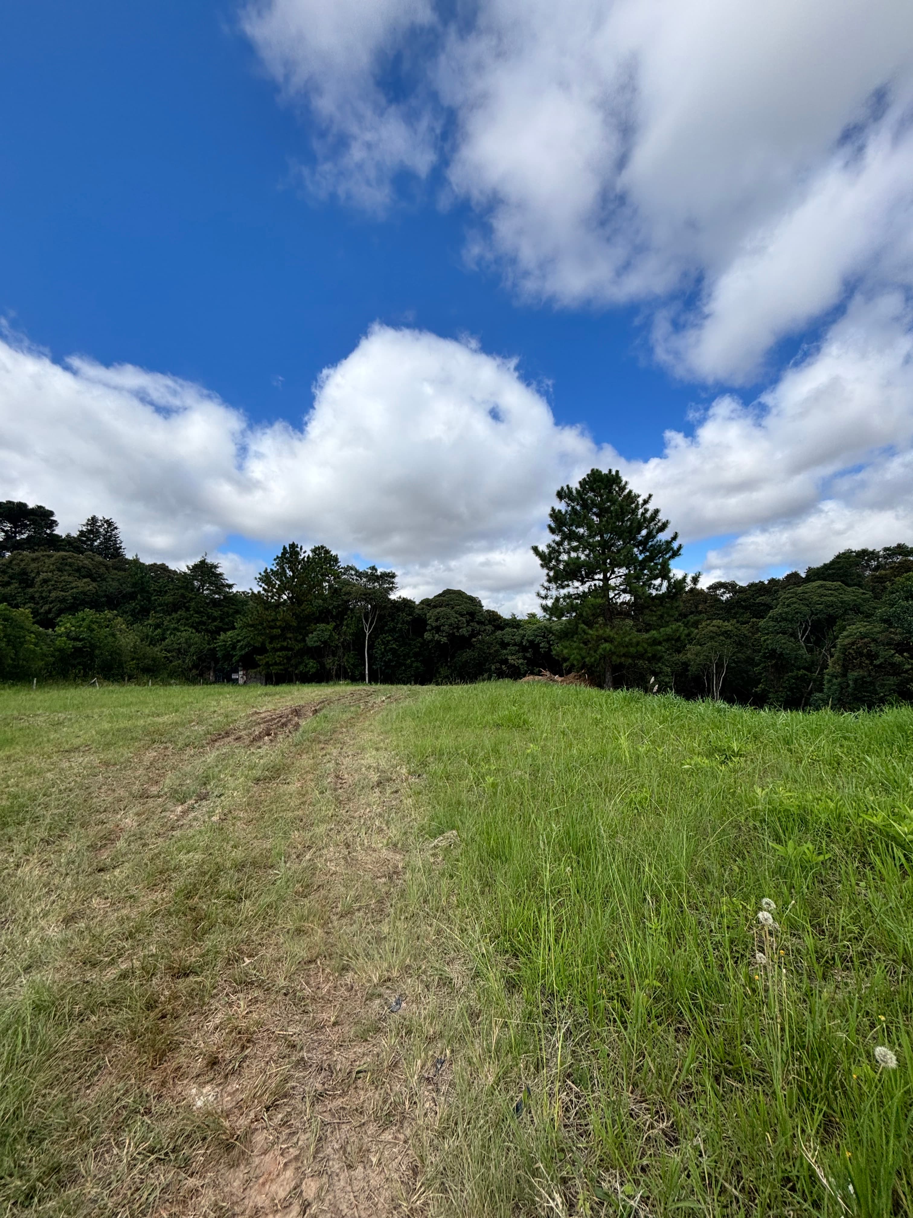 Terreno a venda em Curitiba - Foto 5